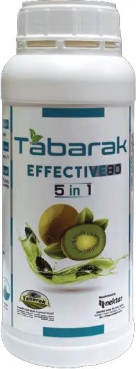 Tabarak Effective 80.psd@4x.webp