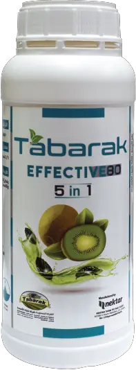 Tabarak Effective 80