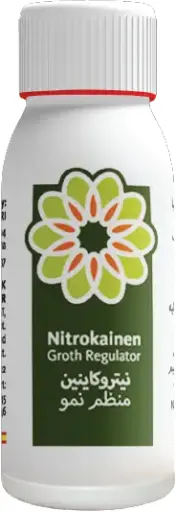 Nitrokainen