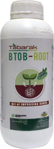 Tabarak B-To-B Root